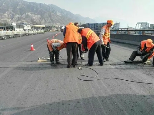 绥滨道路桥梁病害治理